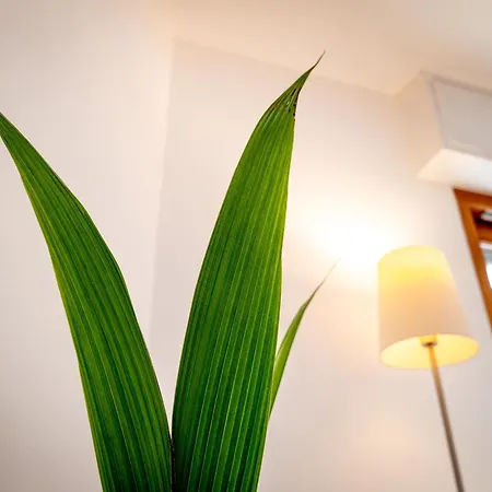 Eklettiko Bright Cozy Private Flat! Lejlighed *